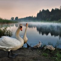 На фоне озера снимается семейство :: Игорь Денисов