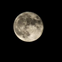 Кратер Тихо тихо лучится на добрую четверть Луны :: Александр Крупский