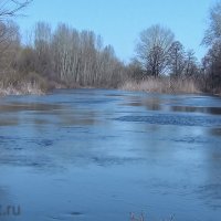 Весна на Суле :: Эдуард Робатень