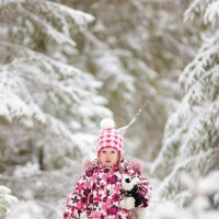 снежный лес :: Сильвия Михеева