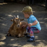 Знакомство :: Татьяна Симонова