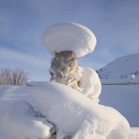 Магаданский лев в снегу :: Женя Фалькова