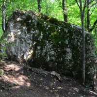 Огромный камень посреди леса :: Полина 