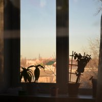 мечта в окне :: Наталья Журавлева
