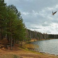 У озера :: Сергей Прокофьев