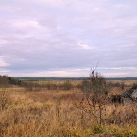 Остатки деревни... :: Андрей Шейко