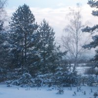 Зима :: Anna Danilova