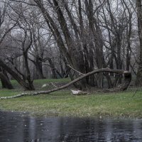 тяжесть жизни :: Сергей Донской