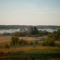 Архангельская область :: Анна Николаева