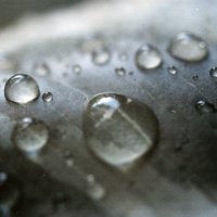 water drops :: Anastasia GangLiON