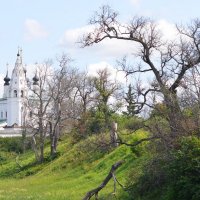 Суздаль :: Василиса Брадулова