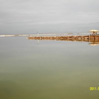 Мёртвое море! :: Светлана Субботина