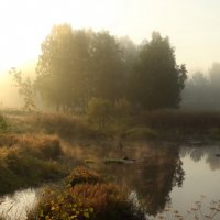 утро на городском озере :: Дамир Белоколенко