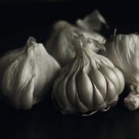 Garlic :: Вероника Сидоренко