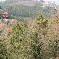 Одинокая пагода в горах :: Алекс Мо