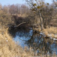 Конец ноября, предгорья Сихотэ-Алинь :: Виктор Алеветдинов