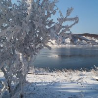 ветренно :: константин воробьев