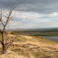 весна :: Владимир Честнов