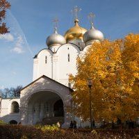 Новодевичий монастырь :: Кирилл Стопкин