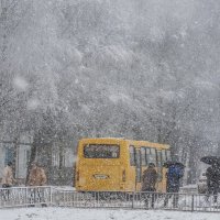 снегопад :: Павел Данилевский