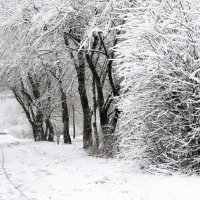 Она все-таки пришла... :: Илья Строганов