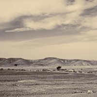 Пустыня Негев :: Lidiya Dmitrieva