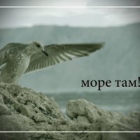 море там :: Igor Leiser 