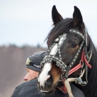 I Love You :: олег воробьев