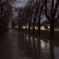 Дождь :: Ирина Корпачева