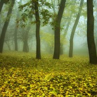 Осенний парк :: Олег Самотохин