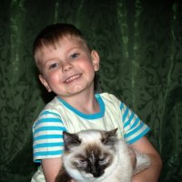 Нашел кота... :: Sozidatel Online "Евгений Щербаков"