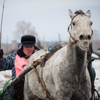 * :: олег воробьев