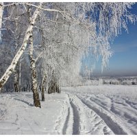 Зимний пейзаж. :: Наталья Юрова