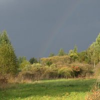 Осенний пейзаж :: Геннадий Кульков