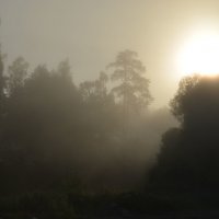 Утренний туман... :: NICKIII Михаил Г.