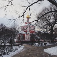 новодевичий монастырь :: Yana S