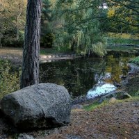 Осень в Паланге (8) :: Сергей Садовничий