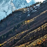 Осень в горах :: Владимир Богославцев(ua6hvk)