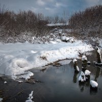 В начале декабря :: Андрей Гусев