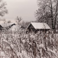 Сельский пейзаж :: Антон Антонов