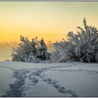 Рыбацкие тропки :: Василий Хорошев