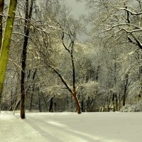Зимний день в парке :: Любовь Изоткина
