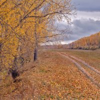 пошуршим... :: зоя полянская 