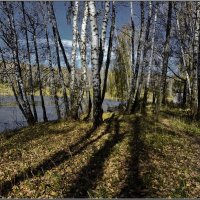 Тени октября :: Анатолий 71 Зверев