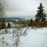 Зимний пейзаж :: Юрий Митенёв