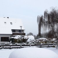 Канитель в огороде... :: АндрЭо ПапандрЭо