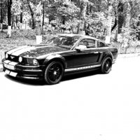 Shelby Mustang :: Андрей Сорокин