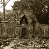 Ангкор, Камбоджа :: Елена Шацкова
