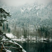 Горное озеро в Альпах :: Juliafototeam 