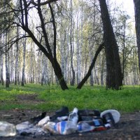 мусор в лесу :: татьяна 